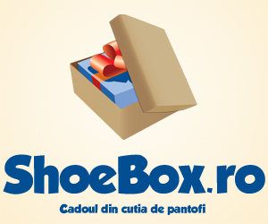 ShoeBox-300X250