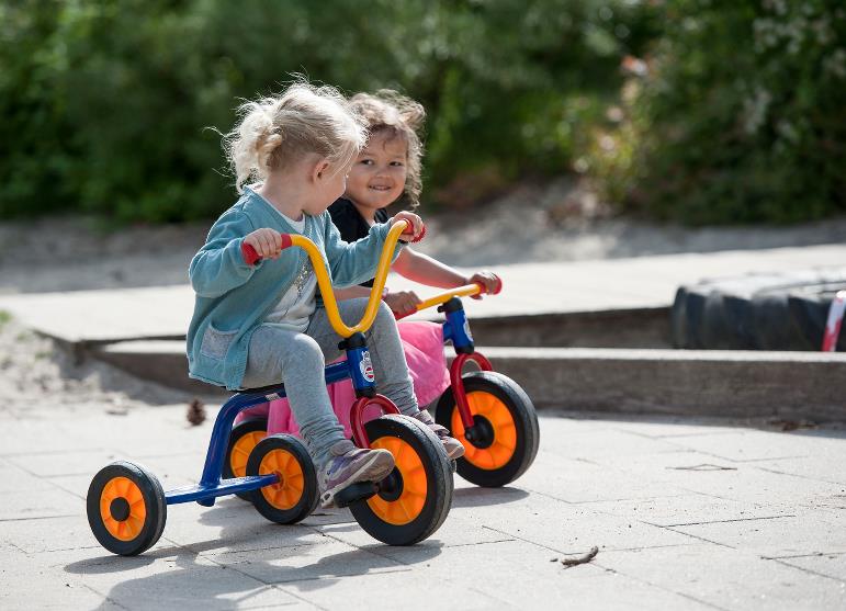 Tricicleta - cadoul ideal pentru cei mici