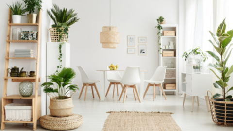 decorațiuni interioare