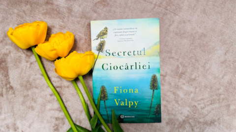 Secretul Ciorcârliei