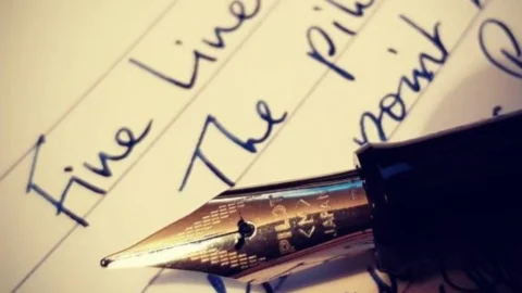 produse Pilot